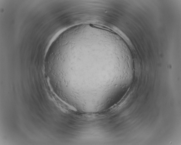 X0000071910956200607281825