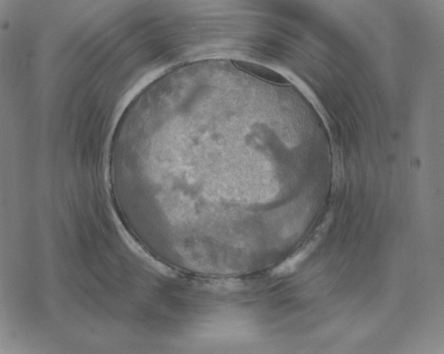 X0000071910957200607281825