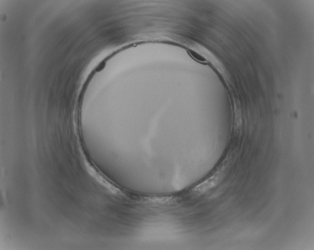 X0000071910958200607281825