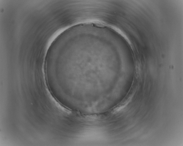 X0000071910959200607281825