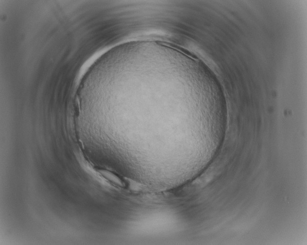 X0000071910960200607281825