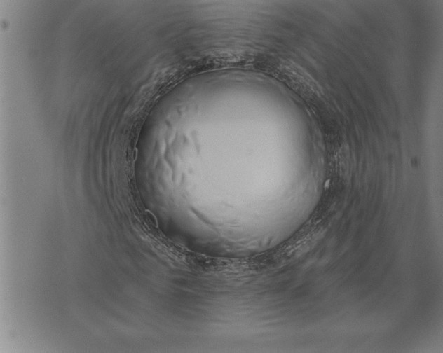 X0000071910961200607281824