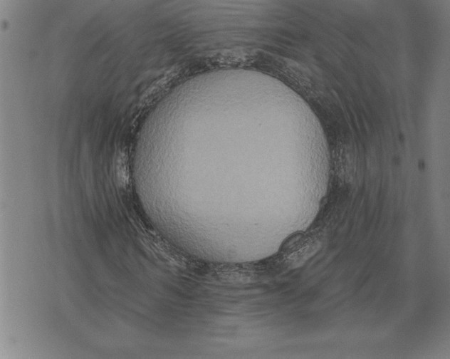 X0000071910962200607281824