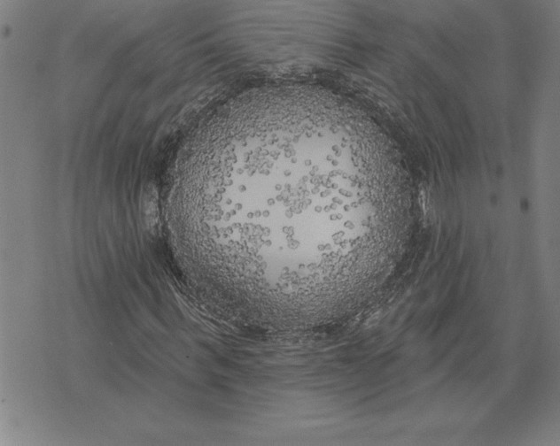 X0000071910963200607281824