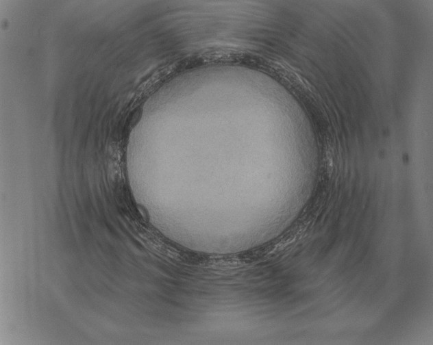 X0000071910964200607281824