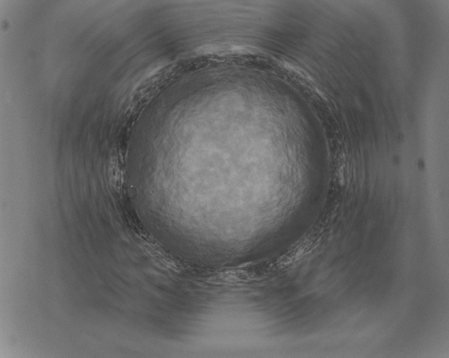 X0000071910966200607281824