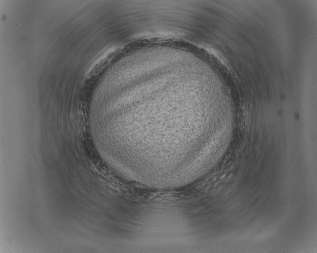 X0000071910967200607281824