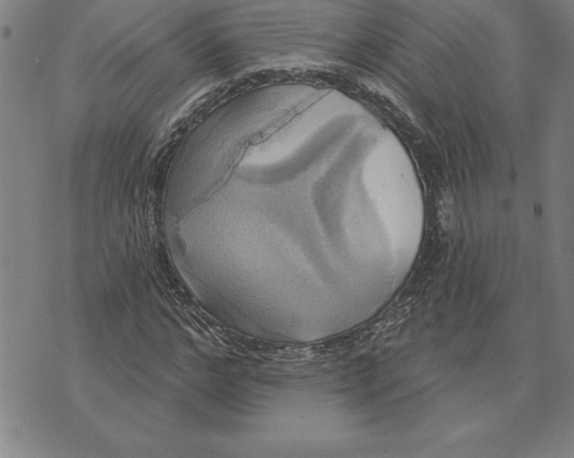 X0000071910968200607281824