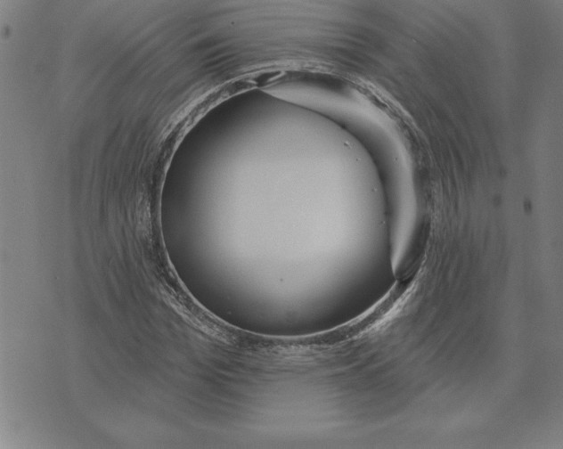 X0000071910969200607281824