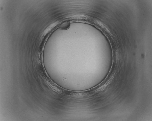 X0000071910970200607281824