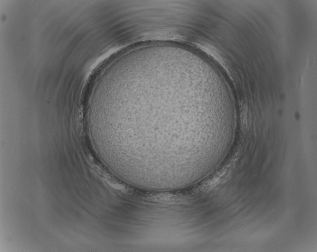 X0000071910971200607281824