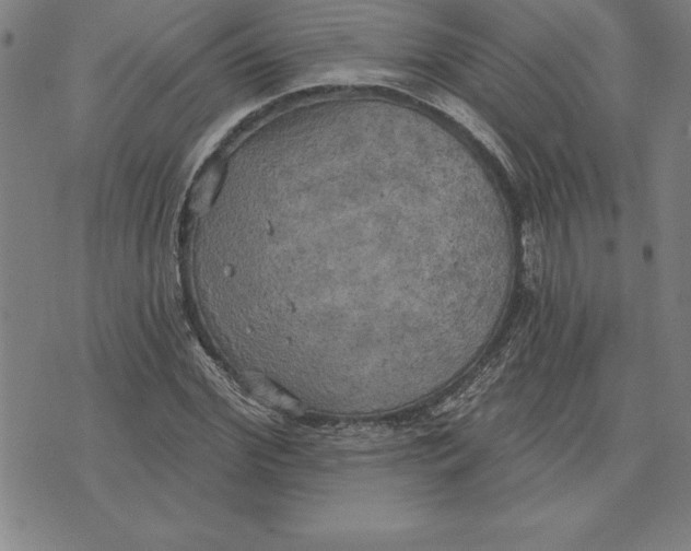 X0000071910972200607281824