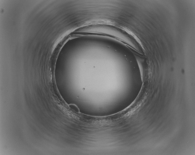 X0000071910973200607281824