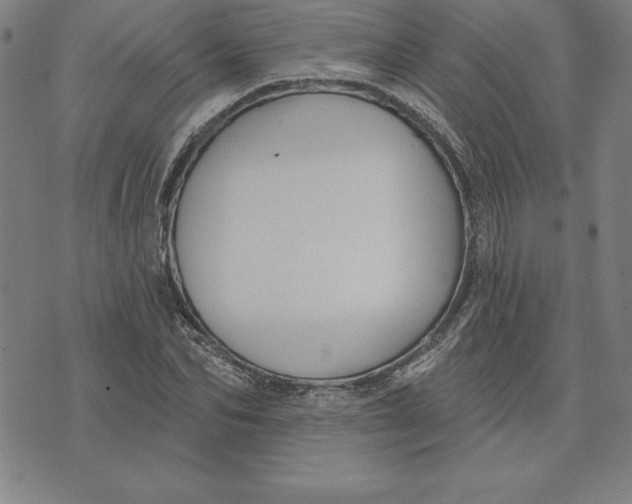 X0000071910974200607281824