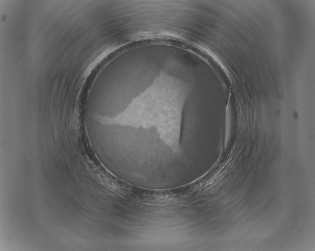 X0000071910975200607281824