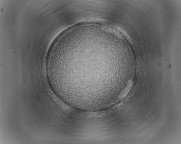 X0000071910976200607281824