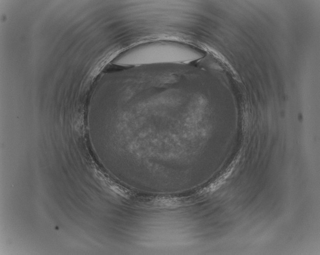 X0000071910977200607281824