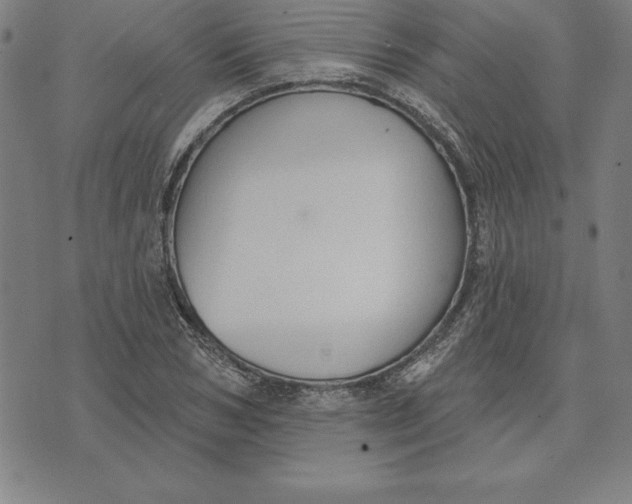 X0000071910978200607281824