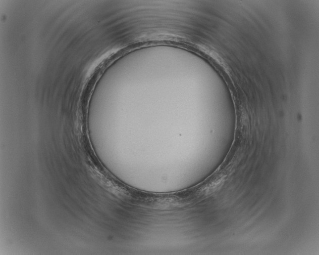 X0000071910979200607281824