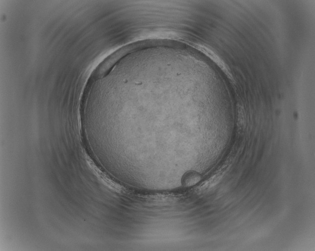 X0000071910980200607281824