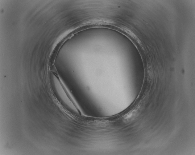 X0000071910981200607281824