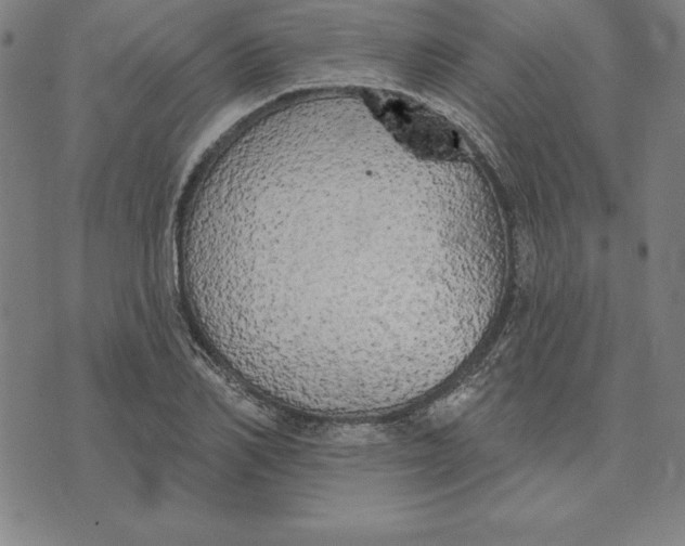 X0000071910982200607281824