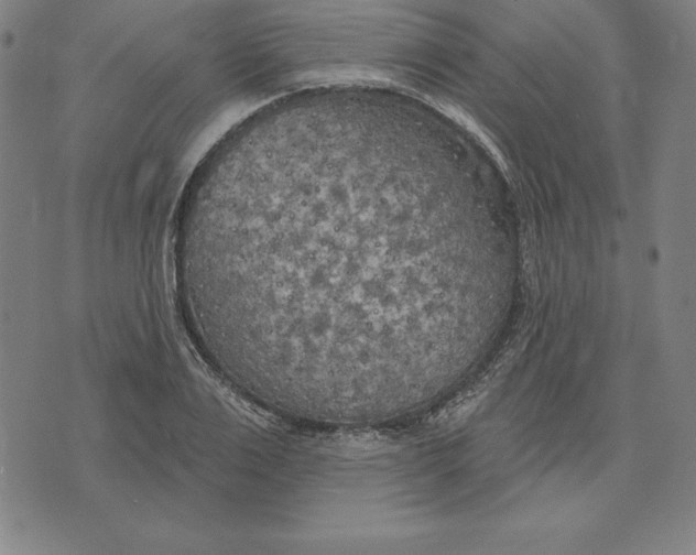 X0000071910983200607281824