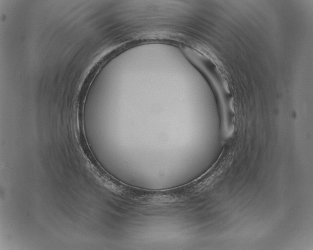 X0000071910984200607281824