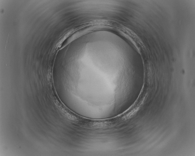 X0000071910985200607281824