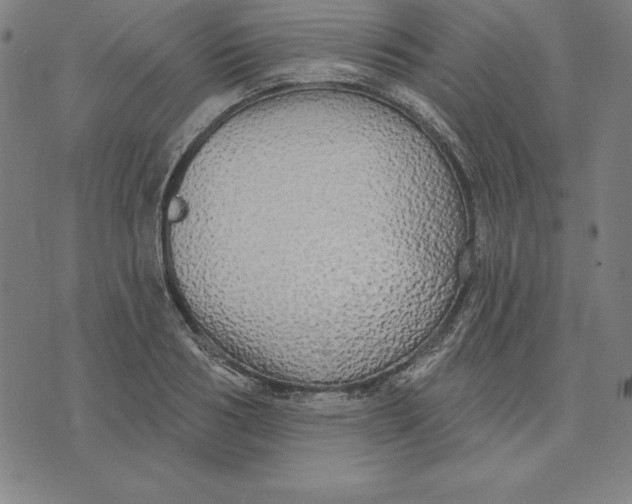 X0000071910986200607281824