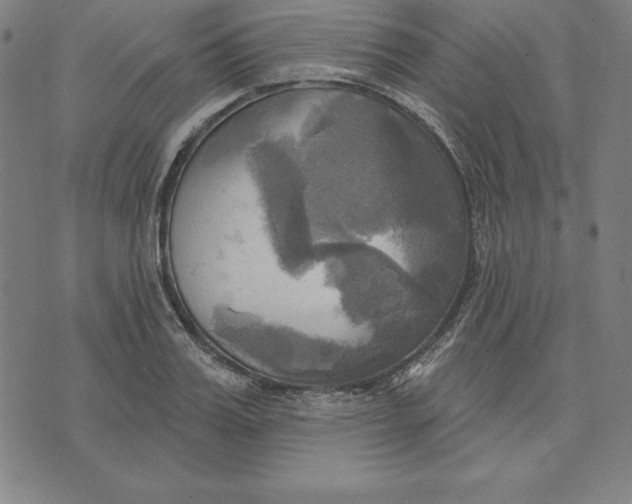 X0000071910987200607281824