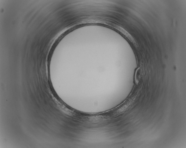 X0000071910988200607281824