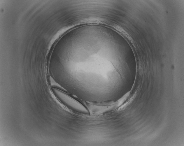 X0000071910989200607281824