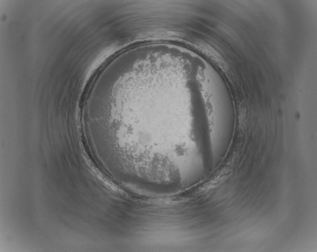 X0000071910990200607281824