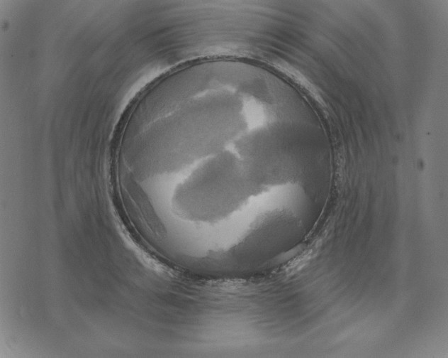 X0000071910991200607281824