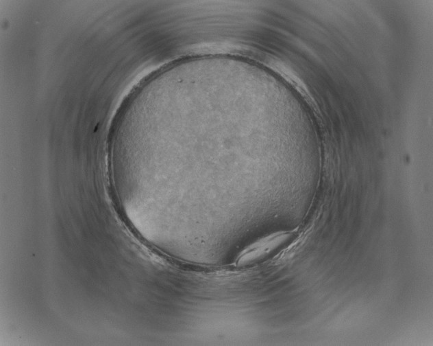 X0000071910992200607281824