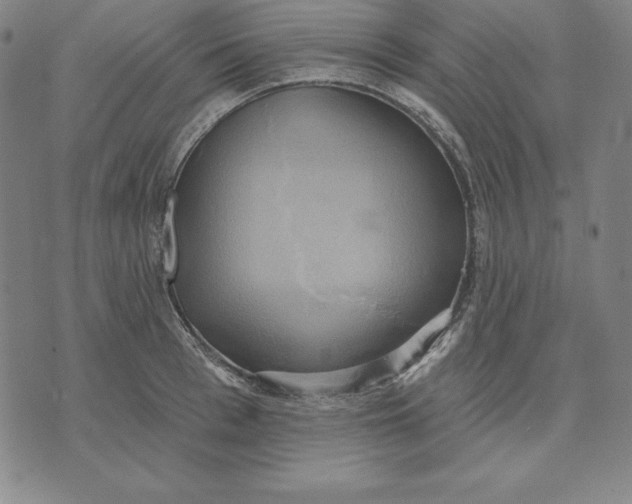 X0000071910993200607281824