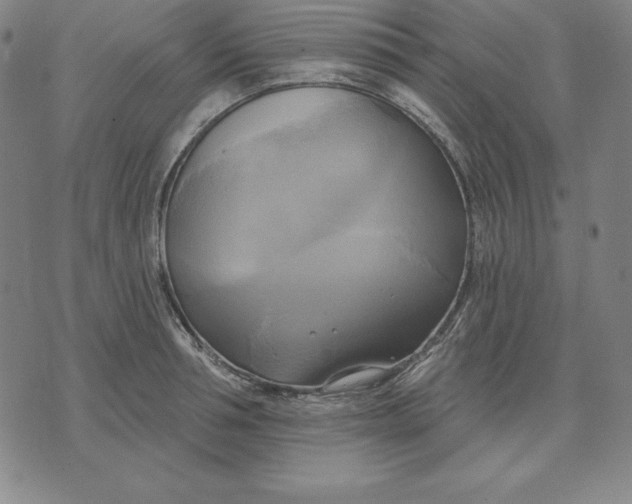 X0000071910994200607281824