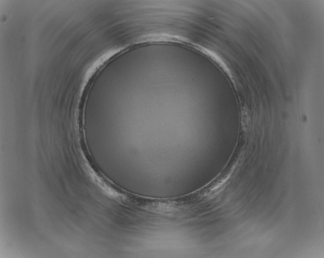 X0000071910995200607281824