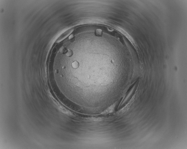 X0000071910996200607281824