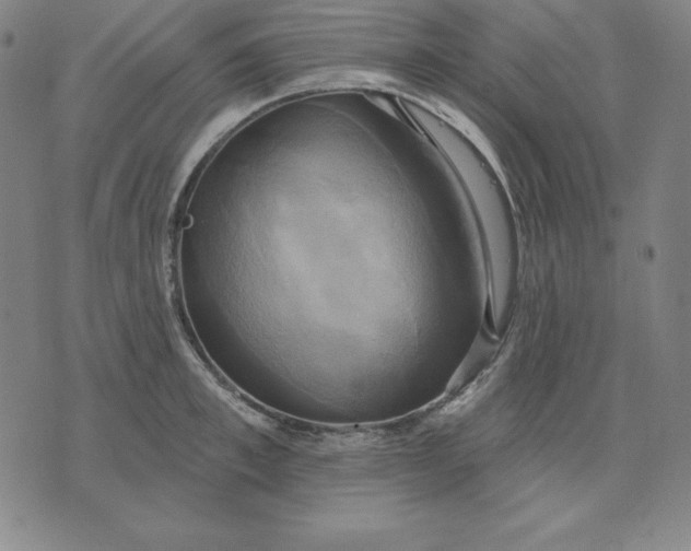 X0000071910997200607281824