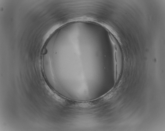 X0000071910998200607281824