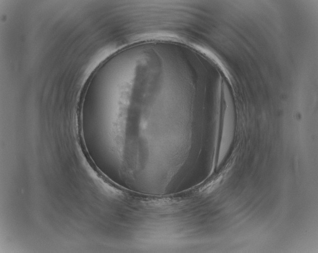 X0000071910999200607281824