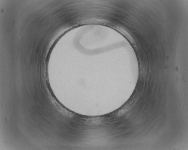 X0000071911000200607281824