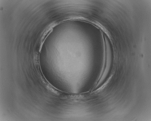 X0000071911001200607281824