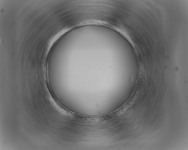 X0000071911003200607281824