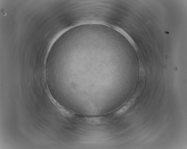 X0000071911004200607281824