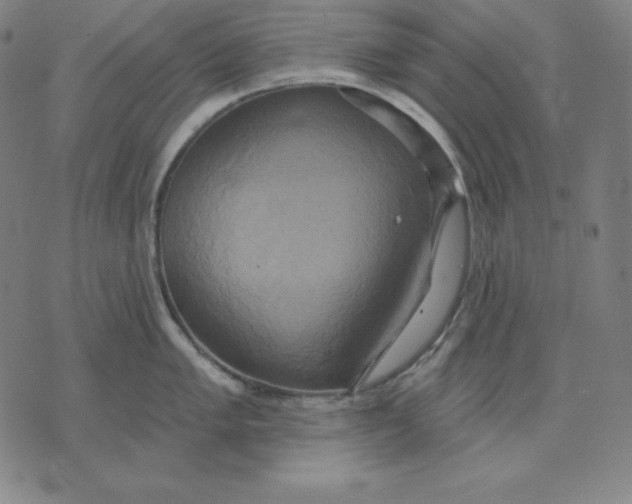 X0000071911005200607281824