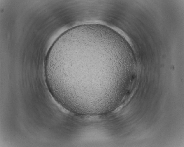 X0000071911006200607281824