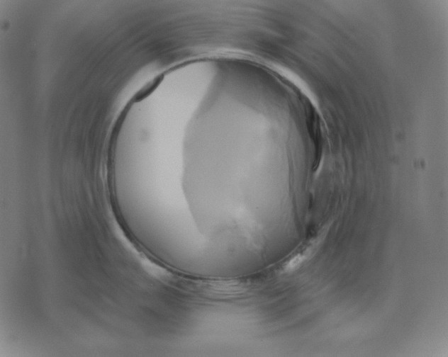 X0000071911007200607281824